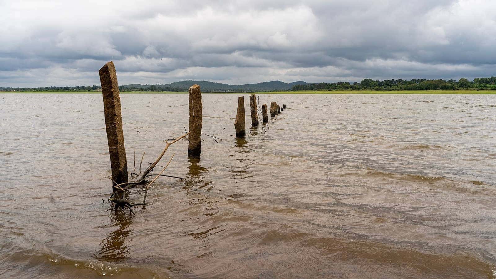 Old wooden posts standing in the Kabini river under monsoon clouds