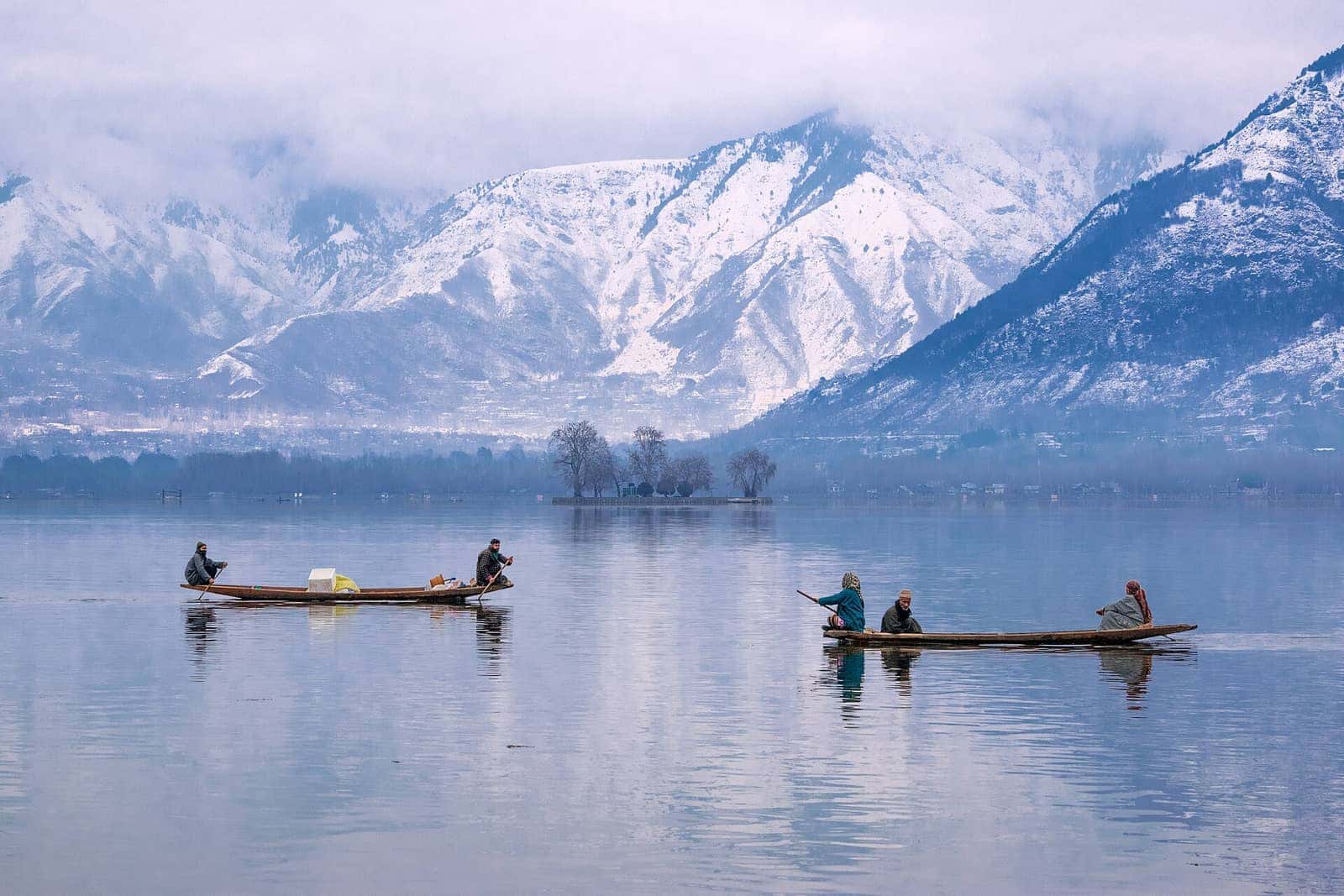 Shikaras on Dal Lake with snow-capped mountains beyond, Srinagar