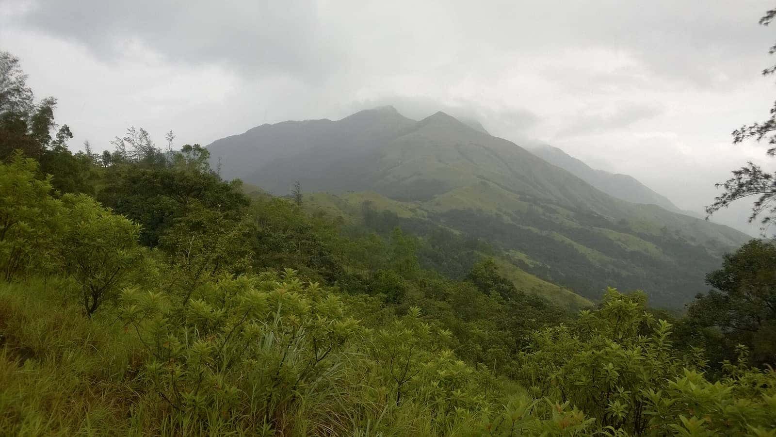 Misty forested slopes of the Kumara Parvatha range near Kukke Subramanya