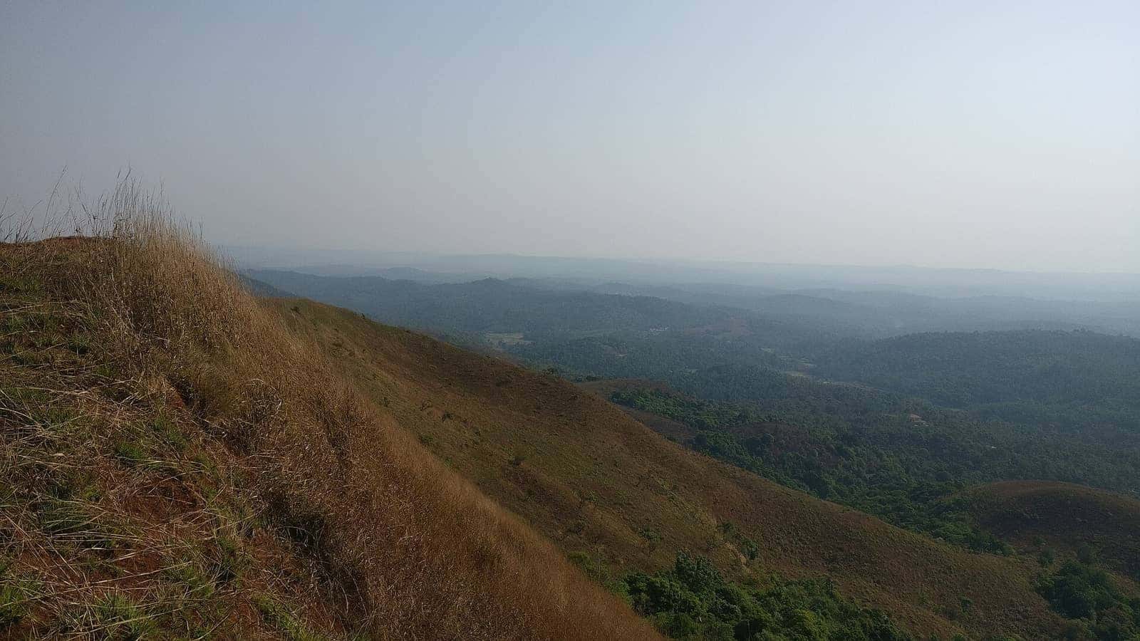 Forested valleys seen from Agani peak near Sakleshpur