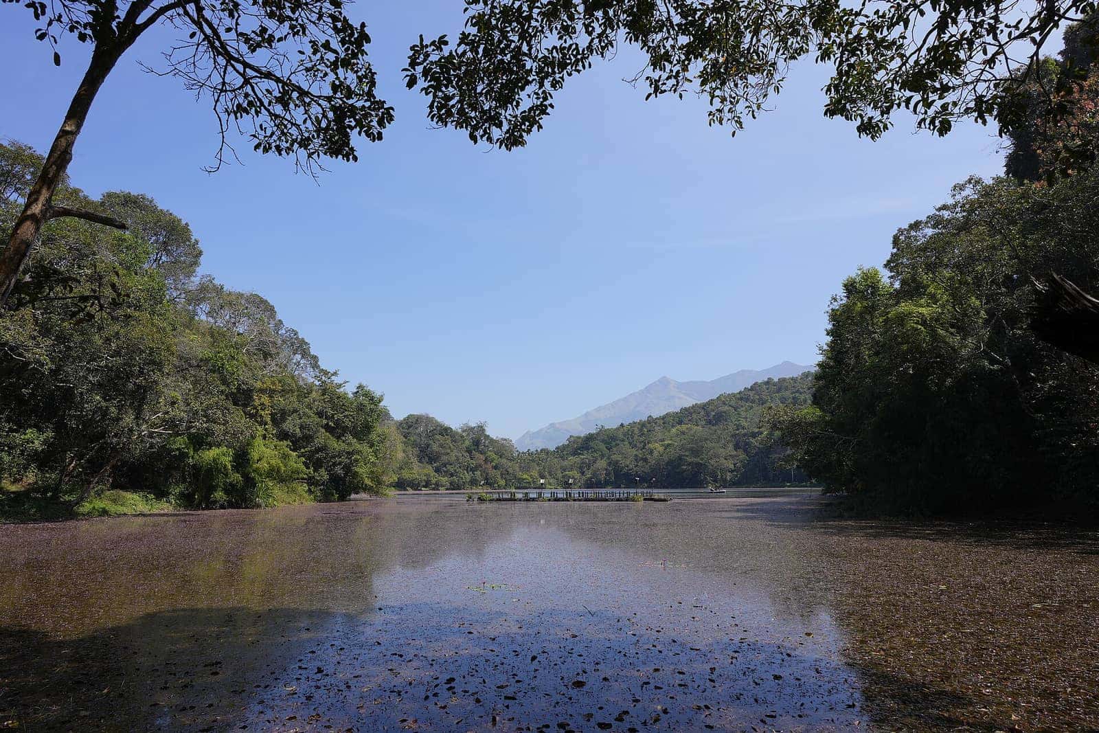 Pookode Lake in Wayanad surrounded by forest and distant hills