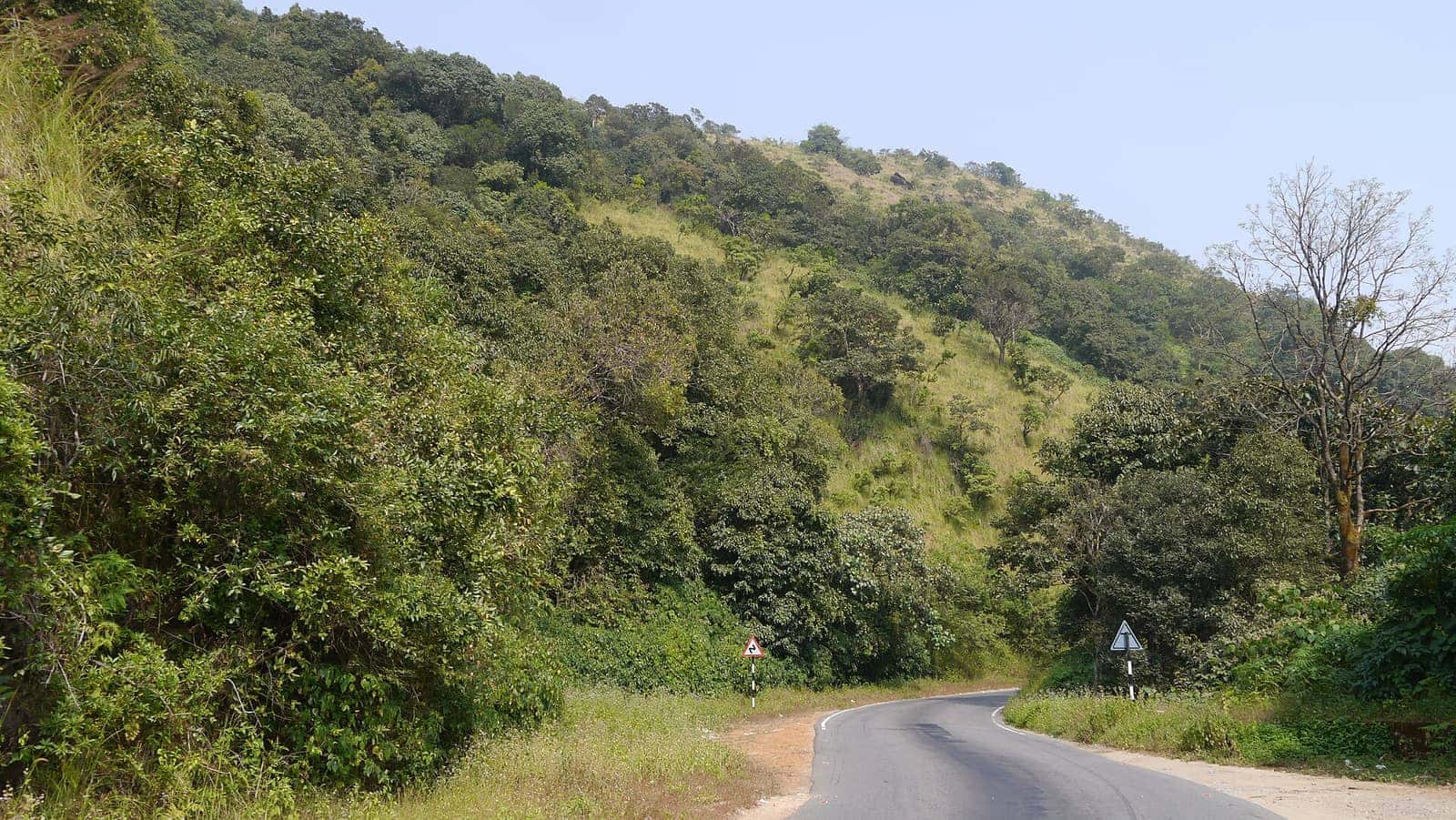 A quiet road curving through green hills at Charmadi Ghat
