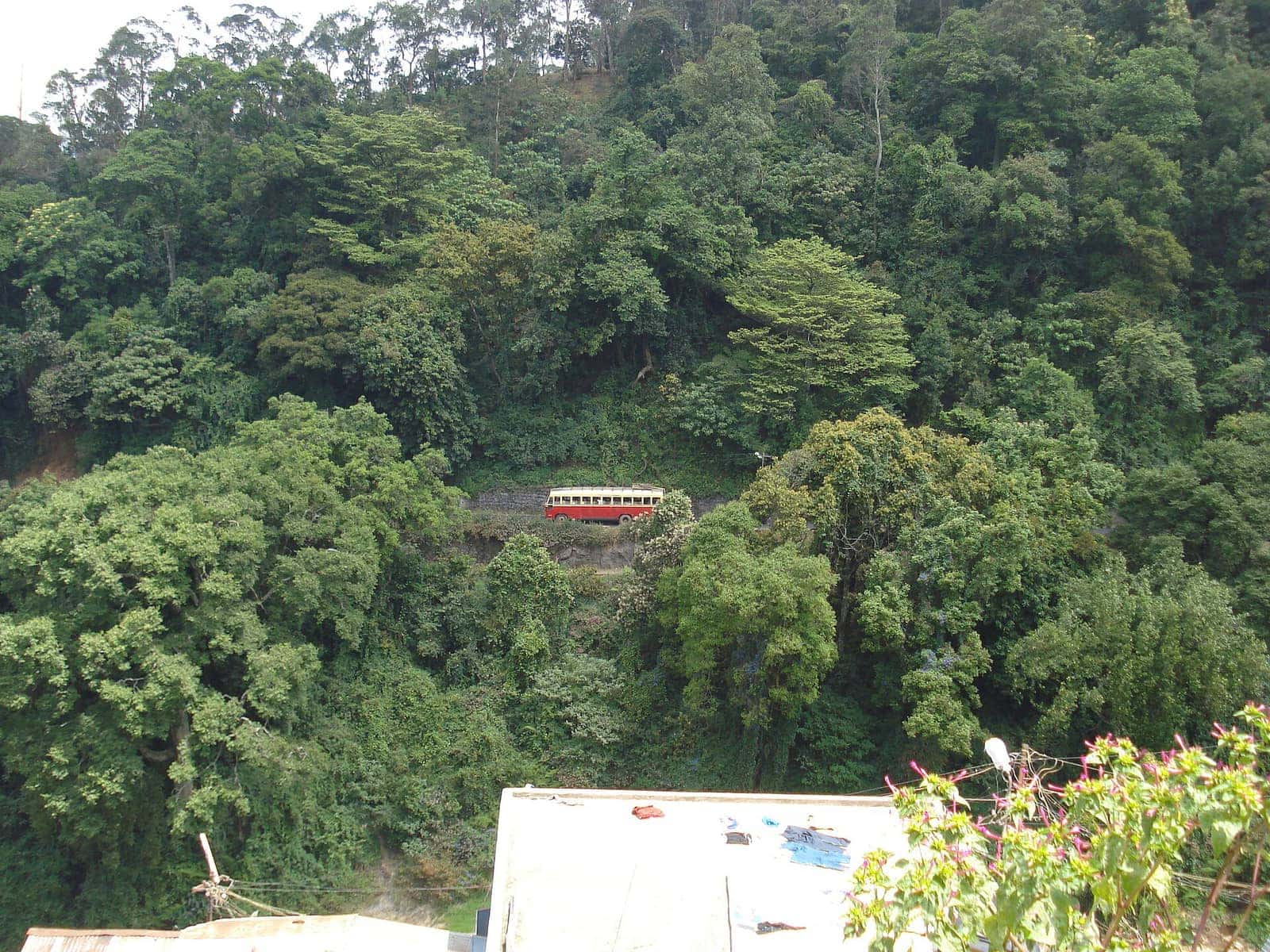 A state transport bus on a forested ghat road in the Nilgiris