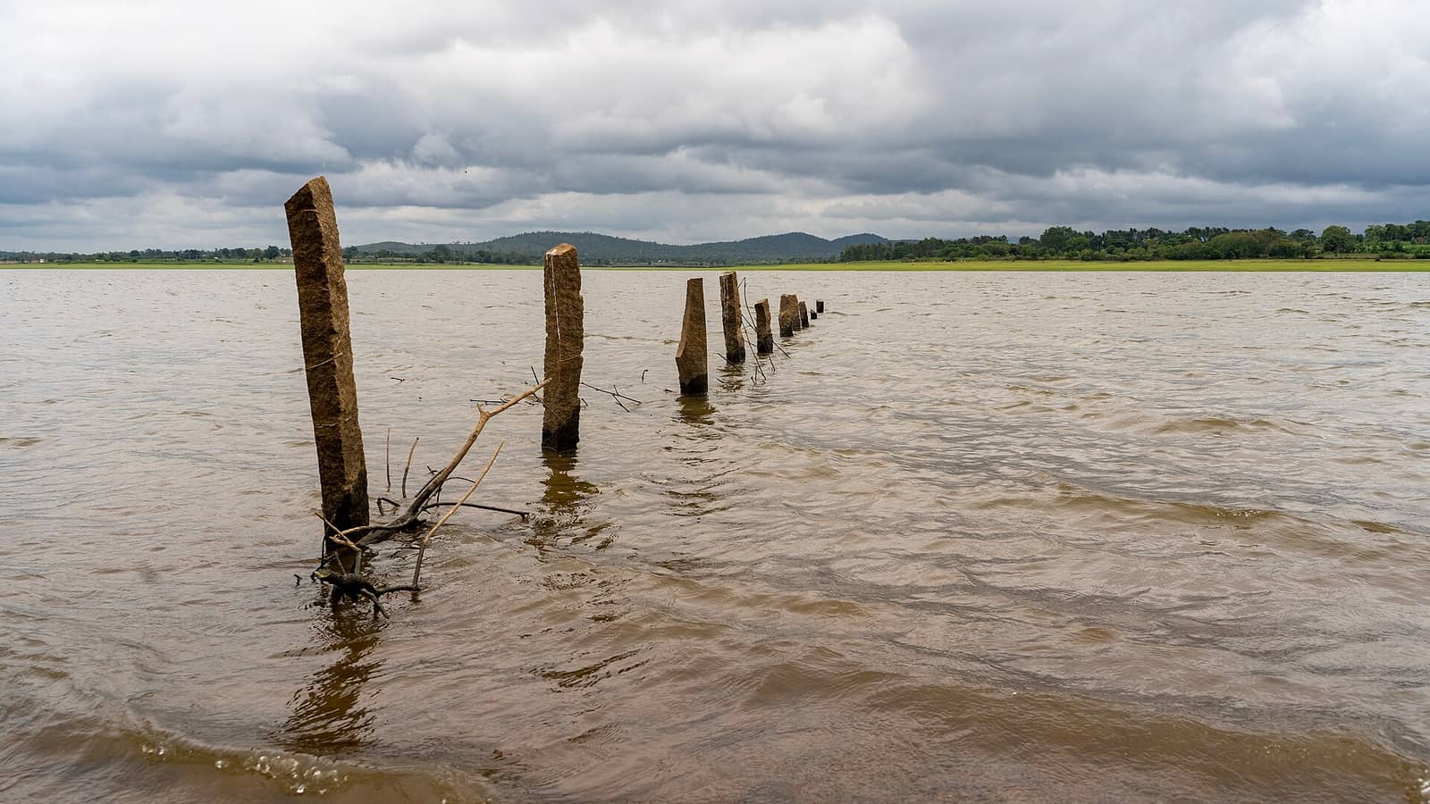 Old wooden posts standing in the Kabini river under monsoon clouds