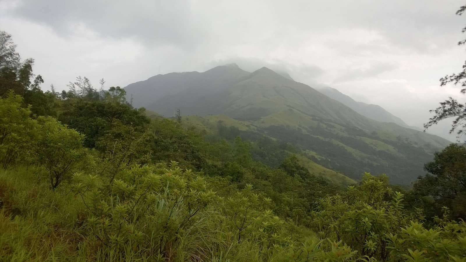 Misty forested slopes of the Kumara Parvatha range near Kukke Subramanya